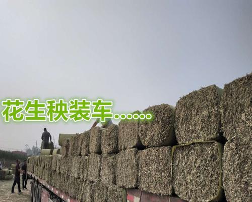 模拟农场22草料制造方法详解（游戏中如何制作优质草料）